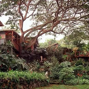 Dragonfly Ranch & Eco-spa Honaunau-Napoopo