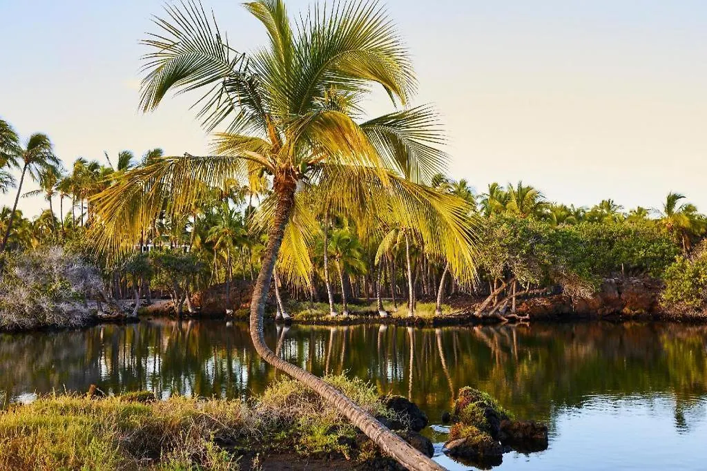 Hotel Mauna Lani, Auberge Resorts Collection Kohala Coast